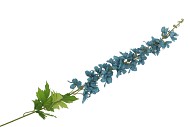 SILK DELPHINIUM TAK LIGHT BLUE 115CM