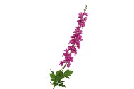 SILK DELPHINIUM TAK FUCHSIA 115CM NM