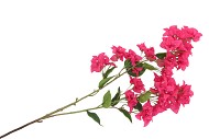 SILK BOUGAINVILLE TAK PINK 106CM