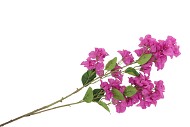 SILK BOUGAINVILLE TAK PURPLE 106CM