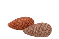 JINGLE NUDE/COPPER PINECONE ASS 13X7X6CM