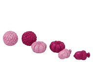JINGLE FUCHSIA/PINK PUMPKIN ASS