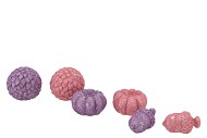 JINGLE PURPLE/PINK PUMPKIN ASS