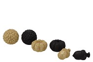 JINGLE GOLD/BLACK PUMPKIN ASS