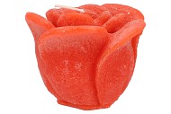 CANDLE ROOS ORANGE 14X12CM NM