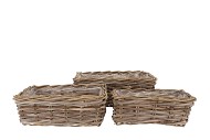 RATTAN IVY BASKET RECTANGLE S/3 L34/37/41 W18/22/26