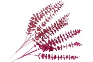 PICK SHINE EUCALYPTUS FUCHSIA/PINK 80CM ASS