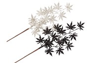 PICK SHINE MAPLE BLACK/CHAMPAGNE 44CM ASS PER 12
