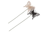 PICK SHINE BUTTERFLY BLACK/CHAMPAGNE 50CM ASS PER 12