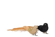 DECO SHINE BIRD CLIP BLACK/CHAMPAGNE 16CM ASS PER 2