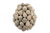 FOREST FRUIT GREEN ACTIVE GLAZE VASE 20X22CM