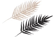 PICK SHINE FERN BLACK/CHAMPAGNE 48CM ASS P/12