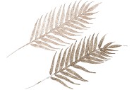 PICK SHINE FERN CHAMPAGNE/GOLD 48CM ASS P/12