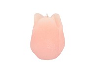 CANDLE TULIP WHITE PINK 7X8CM