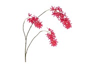 SILK WISTERIA PINK 93CM NM