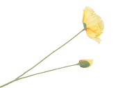 SILK POPPY 2X YELLOW 70CM NM