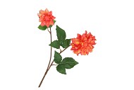 SILK DAHLIA 2X ORANGE REAL TOUCH 60CM