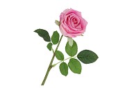 SILK ROSE REAL TOUCH PURPLE 43CM