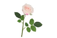 SILK ROSE REAL TOUCH PINK 43CM