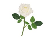 SILK ROSE REAL TOUCH OPEN WHITE 43CM