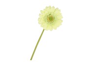 SILK GERBERA LIGHT GREEN 72CM