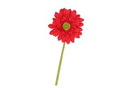 SILK GERBERA RED 72CM