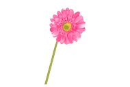 SILK GERBERA  PINK 72CM