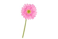 SILK GERBERA LIGHT PURPLE 72CM