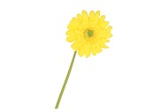 SILK GERBERA YELLOW 72CM