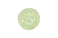 BLOOM DAISY PLATE GREEN 11X11X2CM