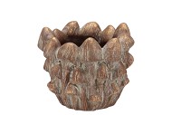CONCRETE GOLDEN MUSHROOMS POT 16X16X12CM NM