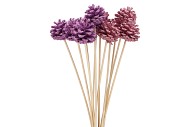 PICK SHINE PINECONE NAT LILA/PINK GLITTER 50CM ASS P/12 NM