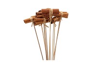 PICK NATURE CINNAMON BROWN 50CM ASS P/24