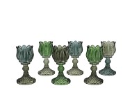 BICOLORE GREEN MIX BLOOM T-LIGHT ASS 8X15CM NM