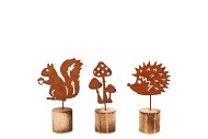 RUSTY WOOD AUTUMN ASS 17X10CM