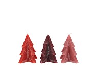 CANDLE FROSTY PINE TREE RED MIX 6X8CM ASS
