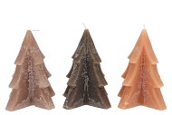 CANDLE FROSTY PINE TREE WOODS BROWN MIX 12X15CM ASS