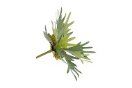 SILK FERN STAGHORN IN POT GREEN 36CM