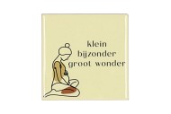 TILE WONDER BEIGE 10X10X1CM NM