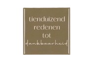 TILE TIENDUIZEND BROWN 10X10X1CM NM