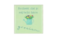 TILE GROEIEN GREEN 10X10X1CM