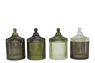 BICOLORE SUMMER GREEN MIX JARS ASS 11X17CM