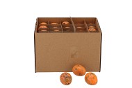 EGGS KWARTEL ORANGE PER 60 2.5X3.5CM