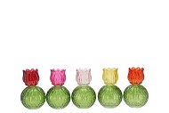 BICOLORE MULTI COLOR MIX TULIP T-LIGHT ASS 11X17CM