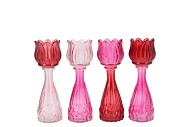 BICOLORE DUTCH PINK MIX TULIP VASE ASS 7X18CM