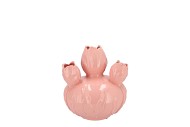 MARA PINK VASE BOL TULIP 17X17X18CM NM