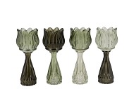 BICOLORE SUMMER GREEN MIX TULIP VASE ASS 7X18CM
