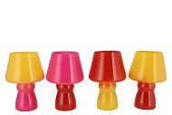 BICOLORE DUTCH ORANGE MIX LED LAMP ASS 17X25CM
