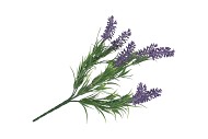 SILK LAVENDER LILAC 33CM NM