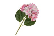 SILK HYDRANGEA WHITE/PINK 23X64CM NM